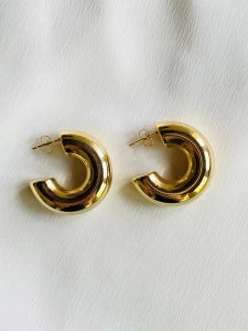 Earrings - Moon
